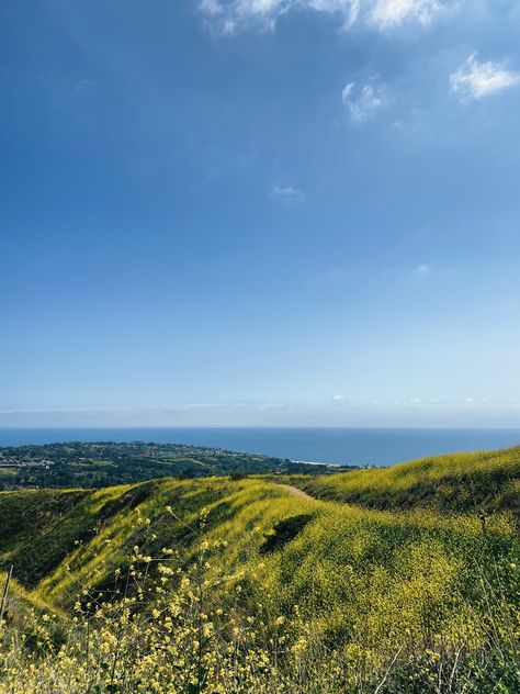 Malibu superbloom los angeles hiking Los Angeles Hike Aesthetic, Los Angeles Nature, Los Angeles Hikes, Los Angeles Hiking, Malibu Mountains, Malibu Hikes, Birthday Moodboard, Hikes In Los Angeles, Malibu Farm