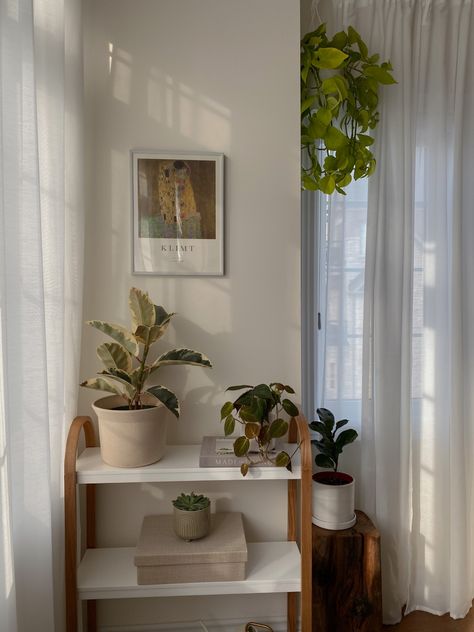 Plant Aesthetic Bedroom, Plant Shelves Bedroom, Ikea Plant, Plant Shelfie, Ikea Plants, Shelves Bedroom, Minimal Plant, Plant Shelf, Plant Aesthetic