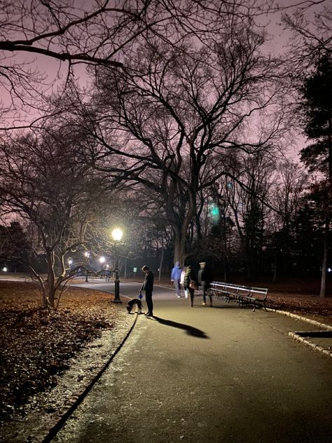 Central Park Aesthetic Night, Park Night Aesthetic, New York Facts, Central Park Aesthetic, Riley Sager, Urban Heat Island, New York City Aesthetic, Devils Night, Fairycore Grunge