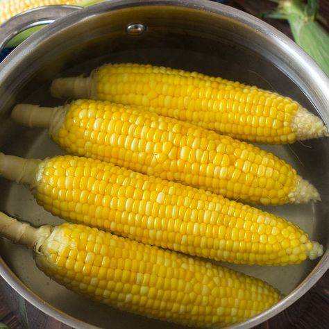 How to Boil Corn on the Cob Sweet Corn On The Cob Boiled, Corn On The Cob Boiled, How To Boil Corn, Boiling Corn, Boil Corn On The Cob, Sweet Corn On The Cob, Boiled Corn, Pot Still, Mexican Street Corn