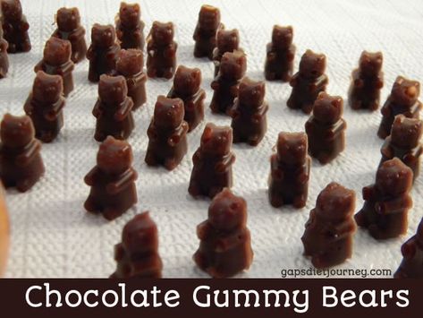 Honey Sweetened Chocolate Gummy Bears - water, gelatin, cocoa powder, honey (sub another sweetener), sea salt Chocolate Gummy Bears, Homemade Gummy Bears, Gummy Snacks, Homemade Gummies, Tarte Vegan, Gummies Recipe, Bear Recipes, Gaps Diet, Paleo Chocolate