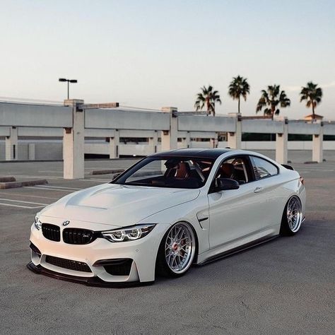 Bmw Cars White, Bmw M4 White, Bmw Stance, Cars Outside, Bmw M3 Convertible, Bmw White, White Bmw, Luxury Cars Bmw, Bmw Sports Car