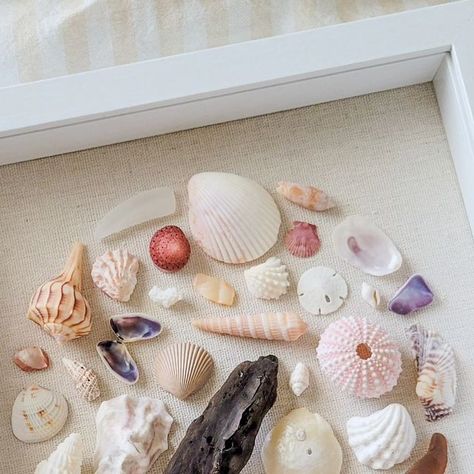 Sand Dune Memories on Instagram: "Which do you prefer? Pastel pinks or creamy neutrals? I personally love little pops of color!  These two 9x9 shadow box displays are the last of the original displays created. Now listed at $85 each and looking for their forever homes 🩷🤍 • • • #seashells #coastalliving #homedecor #seaglass #seapottery #seaglassart #seashellart #art #displaybox #beach #beachlife #mermaid #shelling #beachcombing #driftwood #boho #mermaidjewelry #oceandecor #finejewelry #highquality #freshwaterpearls #pearl #pearljewelry #pearlnecklace #pearlearrings #beachvibes #oceanlife #sealife #weddingjewellery #pearlwedding" Beachcombing Finds, Shell Yeah, Mermaid Jewelry, Sea Pottery, Ocean Decor, Seashell Art, Beach Combing, Sea Glass Art, Pearl Wedding