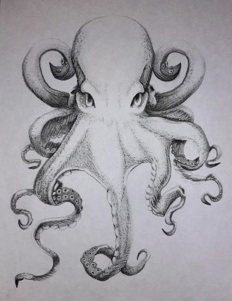 Charcoal and ink 2020 #octopus #art #black and white #vintage style #art #drawing #minimalist Giant Octopus Drawing, Octopus Head Drawing, Drawing Of An Octopus, Sketches Of Octopus, Octopus Drawing Color, Black And White Octopus Tattoo, Gurita Art, Octopuses Tattoo, Octopus Pen Drawing