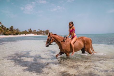 Jamaica : Half Moon Resort Montego Bay Jamaica, Montego Bay, Half Moon, Jamaica, Travel Tips, Horses, Moon, Animals, Travel