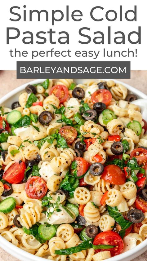 Cold Pasta Meal Prep Healthy, Plant Based Pasta Salad, Vegetarian Pasta Salad Recipes Cold, Pasta Salad Meal Prep Cold, Healthy Cold Pasta Salad Lunch Ideas, Cold Pasta Salad Recipes Mediterranean, Pasta Recipes For Diabetics, Cold Salads, Simple Pasta Salad