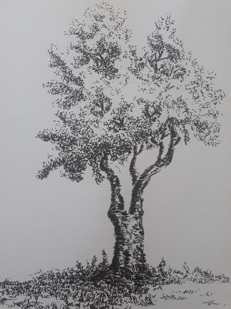 Scribble Tree Drawing, Gabriel Drawing, Nature Reference, Tree Tattoos, Drawing Architecture, Perspective Drawing Architecture, Scribble Art, Drawing Book, Art Tree