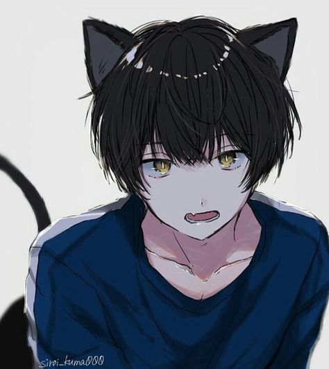 Cat Boy, Anime Cat, An Anime, Cat Ears, Anime Character, Black Hair, Anime Boy, Anime, Hair