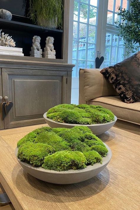 Moss Bowls, Fake Flowers Arrangements, Moss Bowl, Cottage Lounge, Dish Gardens, Large Arrangement, Moss Centerpieces, Dinning Tables, Moss Plant