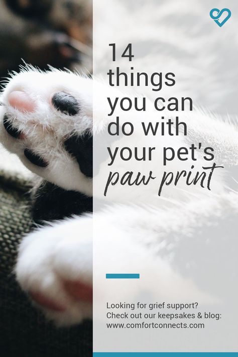 Paw Print Sayings, Cat Paw Print Keepsake, Animal Paw Prints Craft, Pet Memorial Paw Print, Paw Print Ideas Pet Memorials, Paw Print Crafts Diy, Dog Paw Print Ideas, Diy Pet Memorial Ideas Dogs, Pet Fur Keepsake