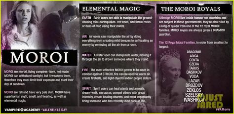 Vampire Academy Moroi Infographic Moroi Vampire, Adrian Ivashkov, Vampire Academy Movie, Paul Lahote, Rose Hathaway, Dominic Sherwood, Elemental Magic, Vampire Movies, Let Me Love You