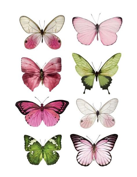 Pink Nursery Artwork, Artwork Butterfly, Butterfly Collage, Types Of Butterflies, Butterfly Artwork, Nursery Artwork, Butterfly Butterfly, Green Butterfly, Pink Nursery