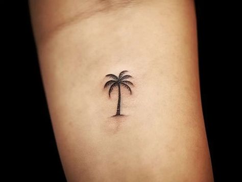 Palm Tree Finger Tattoos For Women, Hand Palm Tree Tattoo, Single Needle Palm Tree Tattoo, Tiny Tattoos Palm Tree, Palm Tree Tattoo Minimal, Palm Tree Tattoos Small, Small Tattoo Palm Tree, Turtle Palm Tree Tattoo, Palm Tree Tattoo Forearm Women