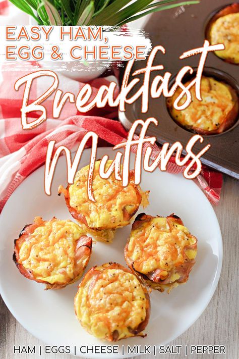 Ham Egg Muffin Cups, Egg Cupcakes Breakfast, Ham And Cheese Egg Bites, Egg And Ham Cups, Breakfast Ham Cups, Ham And Egg Muffin Cups, Ham And Cheese Egg Muffins, Ham And Egg Cups, Ham Egg Cups