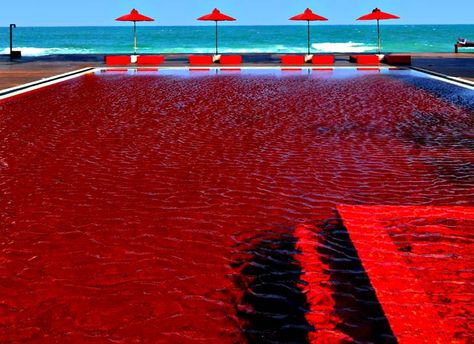 Red Pool at The Library Resort -  Koh Samui, Thailand Red Pool, Hotel Thailand, Library Hotel, Pool Aesthetic, Thailand Hotel, Resort Pools, Hotel Pool, Hotel Price, Free Hotel