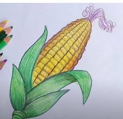 Corn Drawing, Drawing Instructions, Girl Drawing Easy, Pencil Drawing Tutorials, Flower Drawing Tutorials, Drawing Tutorials For Beginners, Easy Drawing Tutorial, Easy To Draw, Easy Love Drawings