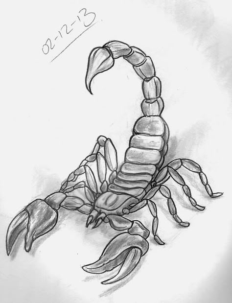 Realistic Scorpion Drawing, How To Draw A Scorpion, Scorpion Drawing Sketches, Scorpion Tattoo Drawing, Insects Sketch, Scorpio Drawing, Scorpion Drawing, Swirl Tattoo, 16 Tattoo