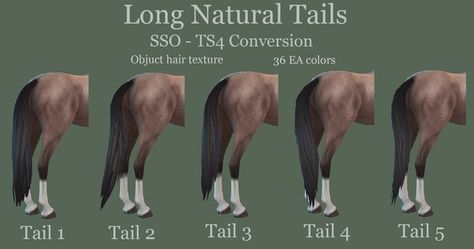 Converted SSO manes and tails for TS4! | Patreon Sims 4 Horse Mane Cc, Sims 4 Horse Tack Cc, Sims 4 Horse Cc, Ts4 Patreon, Horse Mane, Horse Anatomy, Horse Tail, Sims Four, Mane N Tail