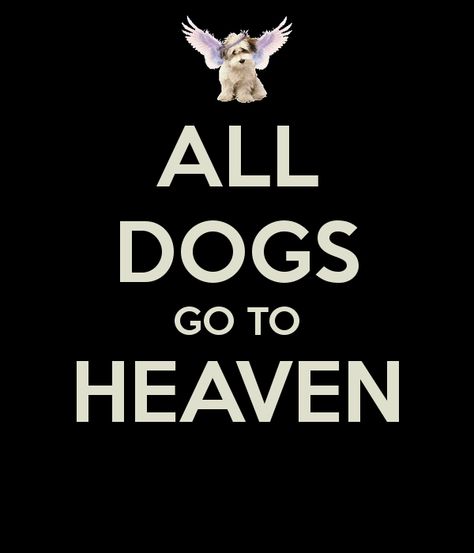 ALL DOGS GO TO HEAVEN Dogs Go To Heaven Quotes, All Dogs Go To Heaven, Dogs Go To Heaven, Good Girls, Family Pets, All Dogs, Hip Flask, Glass Perfume Bottle, To Heaven