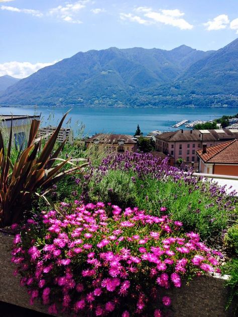 Lake Maggorie, Locarno, Switzerland Lake Lugano Switzerland, Locarno Switzerland, Foroglio Switzerland, Soglio Switzerland, Saanen Switzerland, Switzerland, Travel Dreams, Milan, Lake