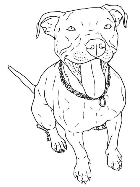 Pitbull Colors, Pitbull Drawing, Pitbull Tattoo, Pitbull Art, Red Nose Pitbull, Puppy Coloring Pages, Pitt Bull, Puppy Drawing, Dog Sketch