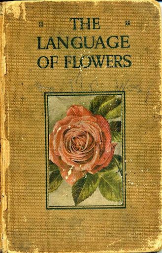 The Language of Flowers. Digital photo by Phil Gates of A Digital Botanic Garden. http://digitalbotanicgarden.blogspot.com/2011/03/say-it-with-flowers.html Illustration Art Nouveau, Fairy Grunge Aesthetic, The Language Of Flowers, Vintage Book Covers, Beautiful Book Covers, Language Of Flowers, Flower Quotes, Book Cover Art, Old Book