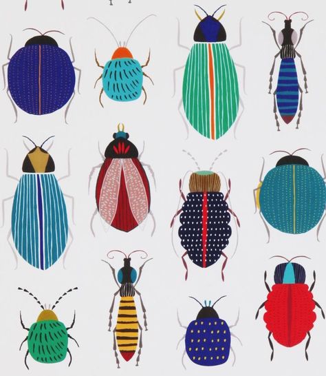 Ceramic Insects, Screen Printing At Home, Beetle Illustration, Bug Print, Bug Art, Botanical Illustration Vintage, Beautiful Bugs, Insect Art, Art Drawings For Kids