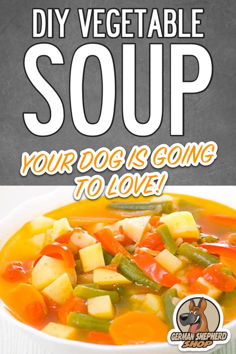 DIY Vegetable Soup Your Dog Is Going To Love  German Shepherd, German shepherds, German Shepherd diet, german shepherd info #germanshepherd #germanshepherds #germanshepherddiet #germanshepherdinfo Soup For Dogs Recipe, Diy Dog Food Toppers, Dog Soup Recipe, Soup For Dogs, Immunity Soup, Dog Soup, Dog Diet Plan, Pet Recipes, Your Dog