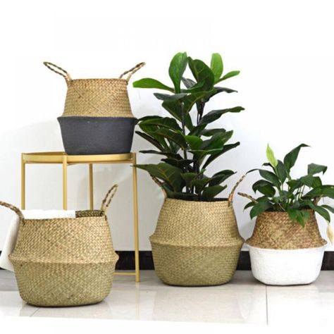 Patgoal Wicker Plant Seagrass Baskets/Plant Stands For Indoor Plants/Woven Wicker Seagrass Plant Pot For Home Decor - Walmart.com Blanket Holder, Laundry Basket Storage, Grocery Basket, Seagrass Storage Baskets, Belly Basket, Decorative Storage Baskets, Plant Pot Covers, Hanging Flower Pots, Seagrass Basket