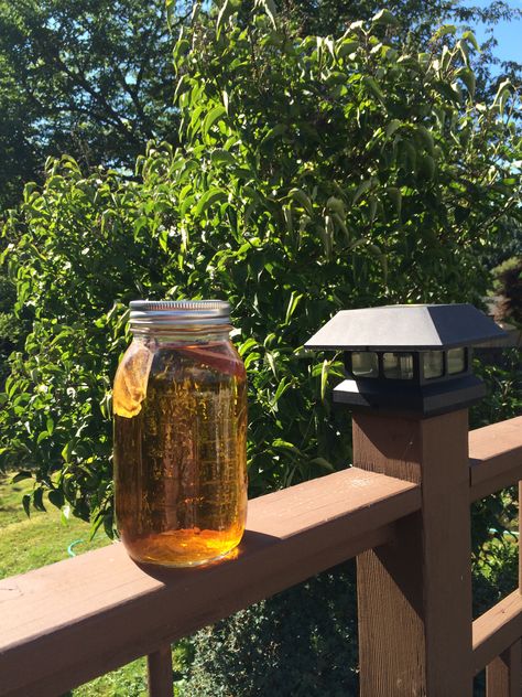 Sun tea = so easy! All you need is some sun (which in Seattle can be a challenge!) water and herbal tea bags. I use 2-3 tea bags per quart depending on how strong I want the taste to be. This blend is Rooibus Chai -  no caffeine and a beautiful red tint. Loose Tea Aesthetic, Green Tea Sun Tea, Mint Sun Tea, Dandelion Tea Aesthetic, Sun Tea Jar, Wellness Girl, Herbal Elixir, No Caffeine, Tea Aesthetic