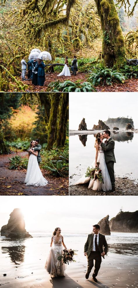 Woodsy Elopement Wedding, Creative Elopement Photos, Hoh Rainforest Wedding, Hoh Rainforest Elopement, Elopement Photoshoot Ideas, Rainforest Elopement, Woodland Elopement, Bug Wedding, Cairns Wedding