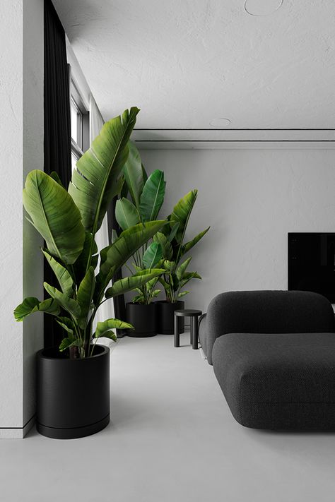 mmz1h on Behance Modern Home Decor With Plants, Cute Studio Apartment Decor, Modern Living Room With Plants, Interior Planters, Plants In Living Room, Plant Studio, Plant Decor Living Room, Living Room Plants Decor, Plantas Interior