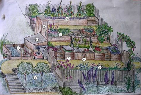 Hillside Vegetable Garden Sloped Yard, Vegetable Garden On A Hill, Hillside Vegetable Garden, Garden Terrace Ideas, Hillside Farming, Terraced Vegetable Garden, Hillside Cottage, Mandala Garden, Vege Garden