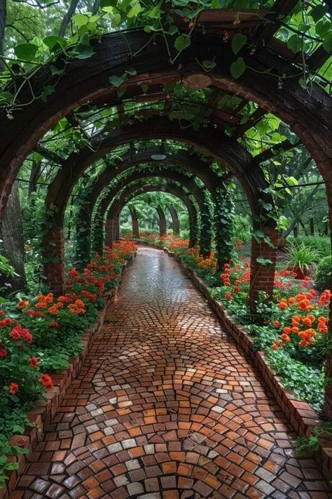 Walkway Design, Garden Walkway, Garden Pathway, Backyard Landscaping Designs, Garden Paths, Dream Garden, Garden Planning, Backyard Patio, Backyard Garden