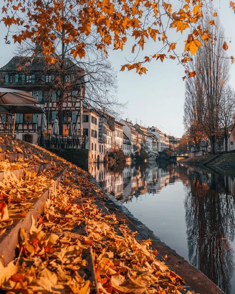 Alpine Village, Strasbourg France, Instagram Autumn, Autumn Scenery, Fall Travel, Favorite Season, Autumn Colors, Strasbourg, Fall Foliage