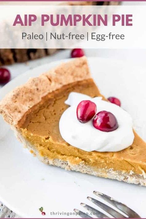 Aip Pumpkin Pie, Aip Pumpkin, Aip Thanksgiving, Aip Baking, Creamy Pumpkin Pie, Autoimmune Protocol Recipes, Aip Meals, Paleo Thanksgiving, Autoimmune Paleo Diet