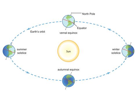 What's the Difference Between a Solstice and an Equinox? | Britannica.com Autumnal Equinox, Vernal Equinox, Earth Orbit, Winter Sun, Winter Solstice, The Seasons, Summer Sun, Astrology, The Sun