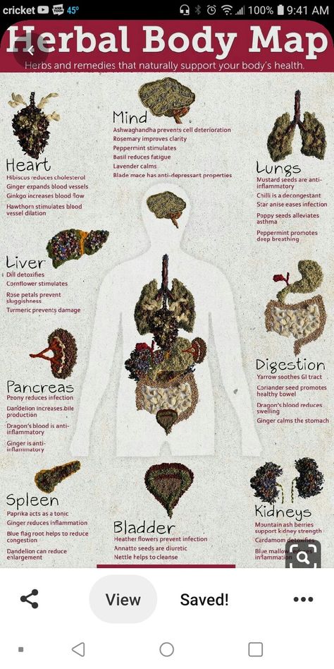 Body Map, Natural Healing Remedies, Herbal Healing, Home Health Remedies, Herbs For Health, Herbs And Spices, Healing Herbs, Natural Health Remedies, The Human Body