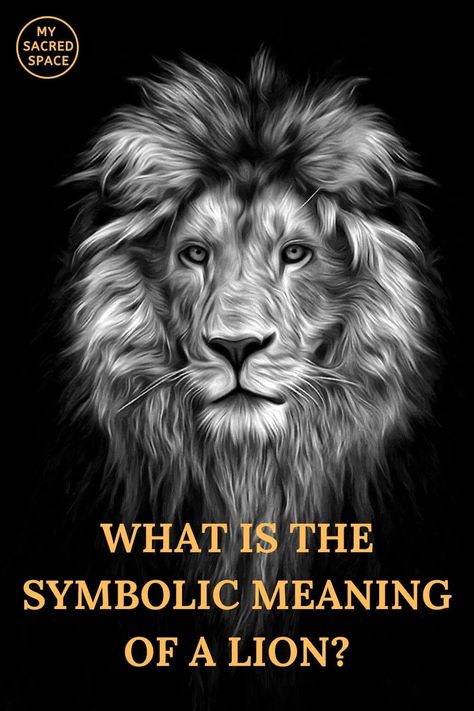 What Do Lioness Spirit Animal and Lion Spirit Animal Mean and Symbolise? - My Sacred Space Design Lion Meaning, Lion Spirit Animal, Lion Spirit, Amazon Dropshipping, Mythological Stories, Spirit Animal Meaning, Animal Meanings, Elderly Dogs, Lion And Lioness