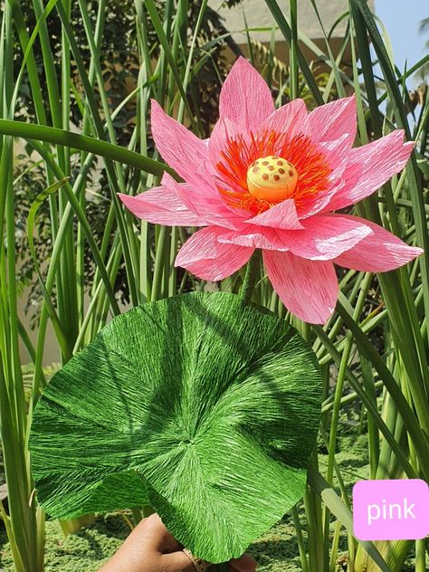 Handmade crepe paper lotus Decoration With Paper, Lotus Decoration, Picture Gifts Diy, Paper Lotus, Ganpati Decoration, Crepe Paper Flowers, Picture Gifts, Crepe Paper, Gifts Diy