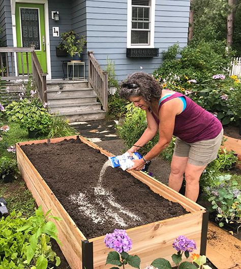 Kitchen Garden Planner Raised Garden Bed Rows, Elevated Garden Bed With Cover, Accessible Raised Garden Beds, Raised Garden Bed With Hinged Cover, Raised Mound Garden Beds, Inexpensive Raised Garden Beds, Raised Garden Bed Soil, Garden Rows, Diy Raised Garden Bed