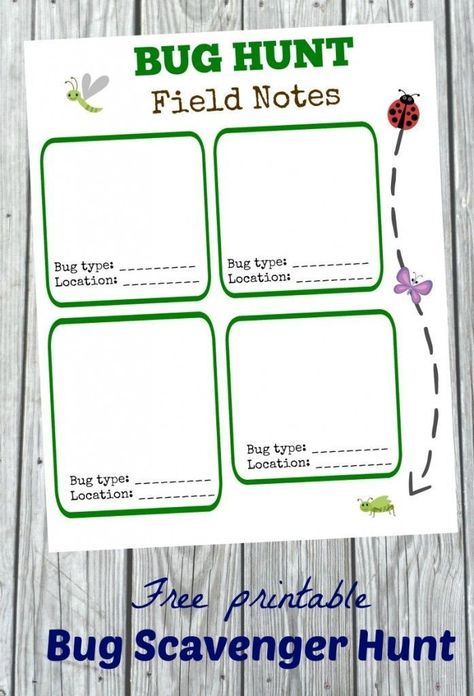 FREE Bug Hunt Activity -- great DIY idea for learning about nature and insects! #nature #insects #science Bug Scavenger Hunt, Bug Hunt, Outdoor Learning Activities, Insect Activities, Cool Experiments, Free Homeschool Printables, Backyard Activities, Kid Experiments, Easy Science Experiments