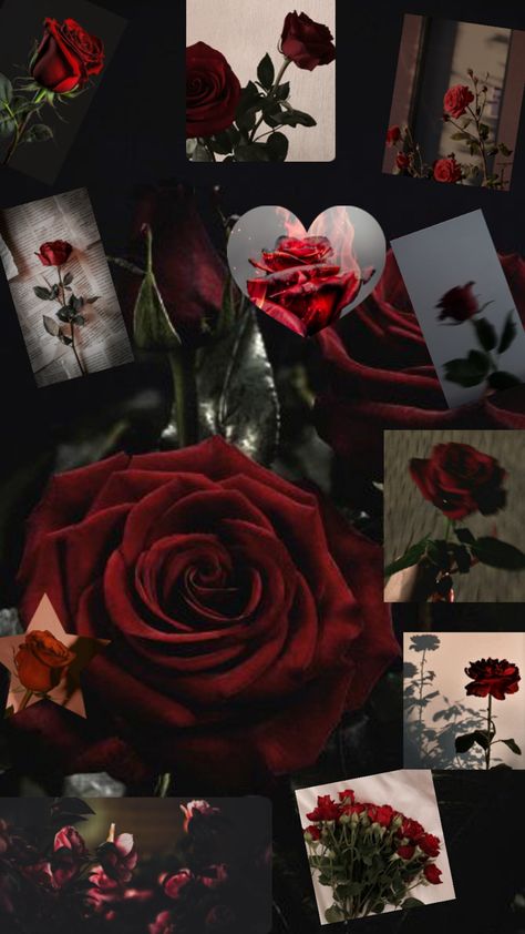 Wallpaper Fix, Roses Collage, Eevee Wallpaper, Background Collage, Red And Black Wallpaper, Rose Background, Butterfly Wallpaper Iphone, Beautiful Art Pictures, Abstract Art Wallpaper