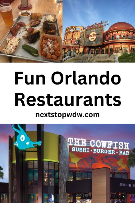 From upscale steakhouses to casual gastro pubs, there’s something for everyone in this city. One of the most unique aspects of Orlando’s dining scene is the number of theme restaurants that can be found in the area. Let's take a look at 10 fun Orlando restaurants. Orlando Restaurants Top 10, Best Restaurants In Orlando Florida, Orlando Florida Food, Places To Eat In Orlando Florida, Restaurants In Orlando Florida, Orlando Florida Restaurants, Orlando Food, Florida Vacation Spots, Restaurants In Orlando