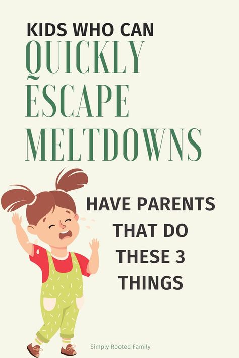 positive parenting, positive discipline, gentle parenting, meltdowns in children, disciplining toddlers, temper tantrums vs meltdowns One Year Old Tantrums Tips, Tantrum Vs Meltdown, Three Year Old Tantrums, Tantrums Quotes, Emotional Regulation For Kids, Toddler Meltdowns, Tantrum Kids, Emotional Books, Big Emotions