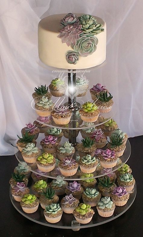 Succulent Theme Wedding, Succulent Cake Ideas Easy, Succulent Themed Wedding, Succulent Centerpiece Wedding, Cupcakes Succulents, Succulent Wedding Cake, Succulent Cakes, Msw Graduation, Unbreakable Vow