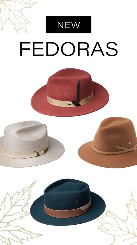 Pictured: • Kinns Fedora by Bailey 1922 • Carly Fedora by Helen Kaminski • Darwin Fedora by Bailey 1922 • Sprake Fedora by Bailey 1922 Trendy Hats, Helen Kaminski, Trendy Hat, Quality Hats, Elevate Your Look, Classic Hollywood, Hat Making, Individual Style, Wide Brimmed