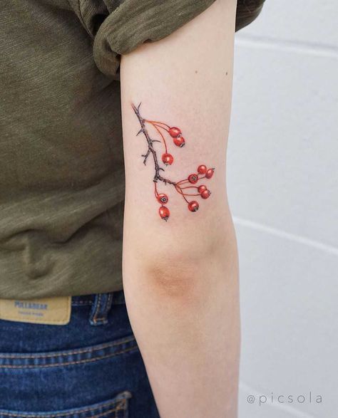 Hawthorn Tattoo, Berries Tattoo, Tree Tattoo Meaning, Flower Tattoo Stencils, Hawthorn Berries, Army Tattoos, Flower Tattoo Meanings, O Tattoo, Beautiful Flower Tattoos