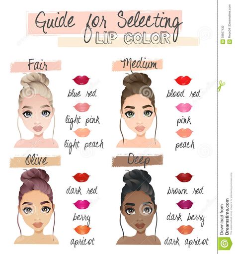 Lipstick Guide, Skin Palette, Tone Makeup, Skin Tone Makeup, Makeup Charts, Winter Palette, Makeup Order, Natural Make Up Looks, Simple Makeup Tips