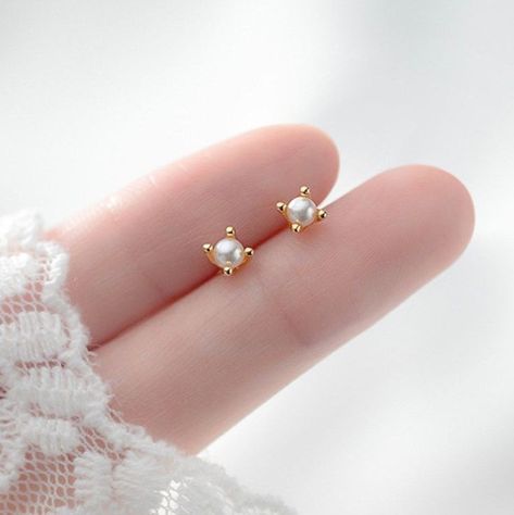 Simple Pearl Earrings Studs, Small Earrings Gold, Gold Earrings Models, Fancy Jewelry Necklace, Earrings Everyday, Tiny Earrings, Fancy Jewellery, Gold Earrings Designs, Jewelry Lookbook